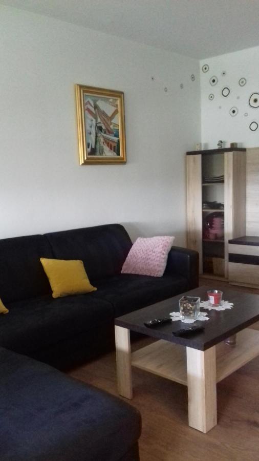 Apartman Lana ,Froudeova Ulica 3 Nasuprot Zg Velesajma Apartment Zagreb Exterior photo