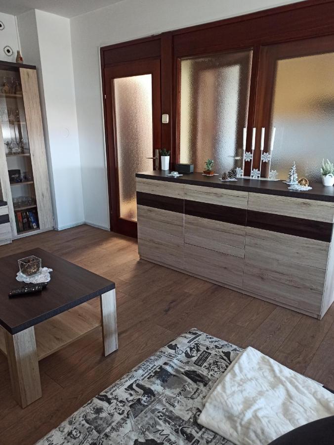 Apartman Lana ,Froudeova Ulica 3 Nasuprot Zg Velesajma Apartment Zagreb Exterior photo